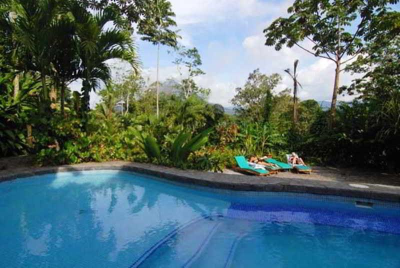 Lost Iguana And Hotel La Fortuna