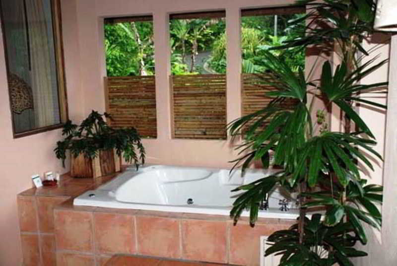 Lost Iguana And 4* La Fortuna