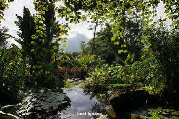 Lost Iguana And Hotel 4*