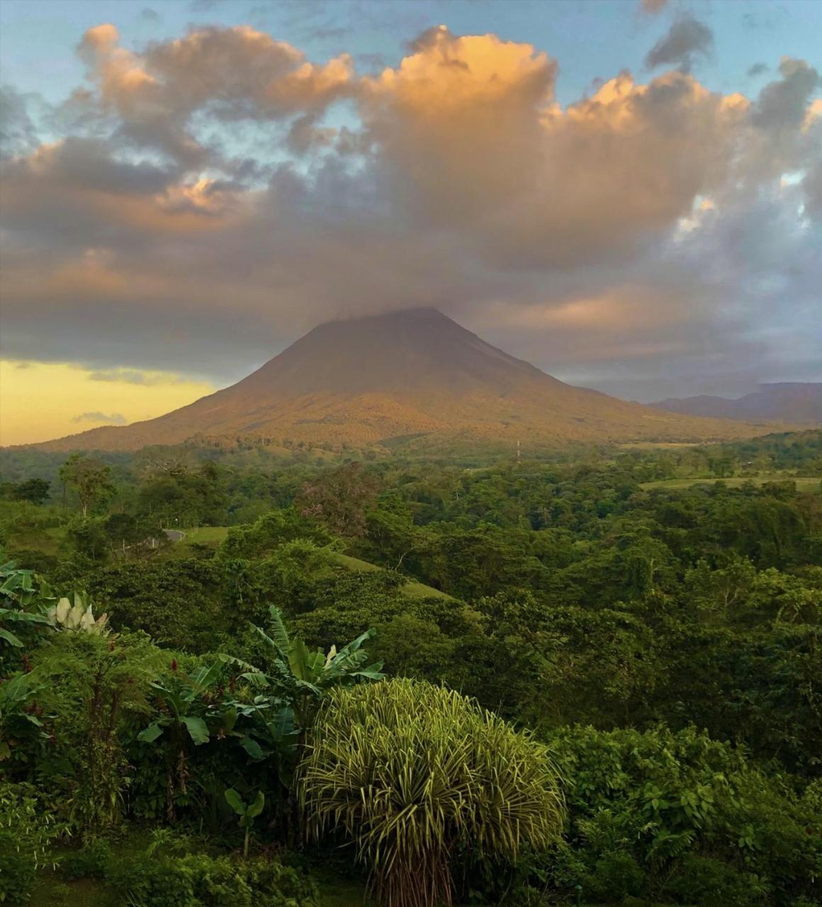 Lost Iguana Resort&spa