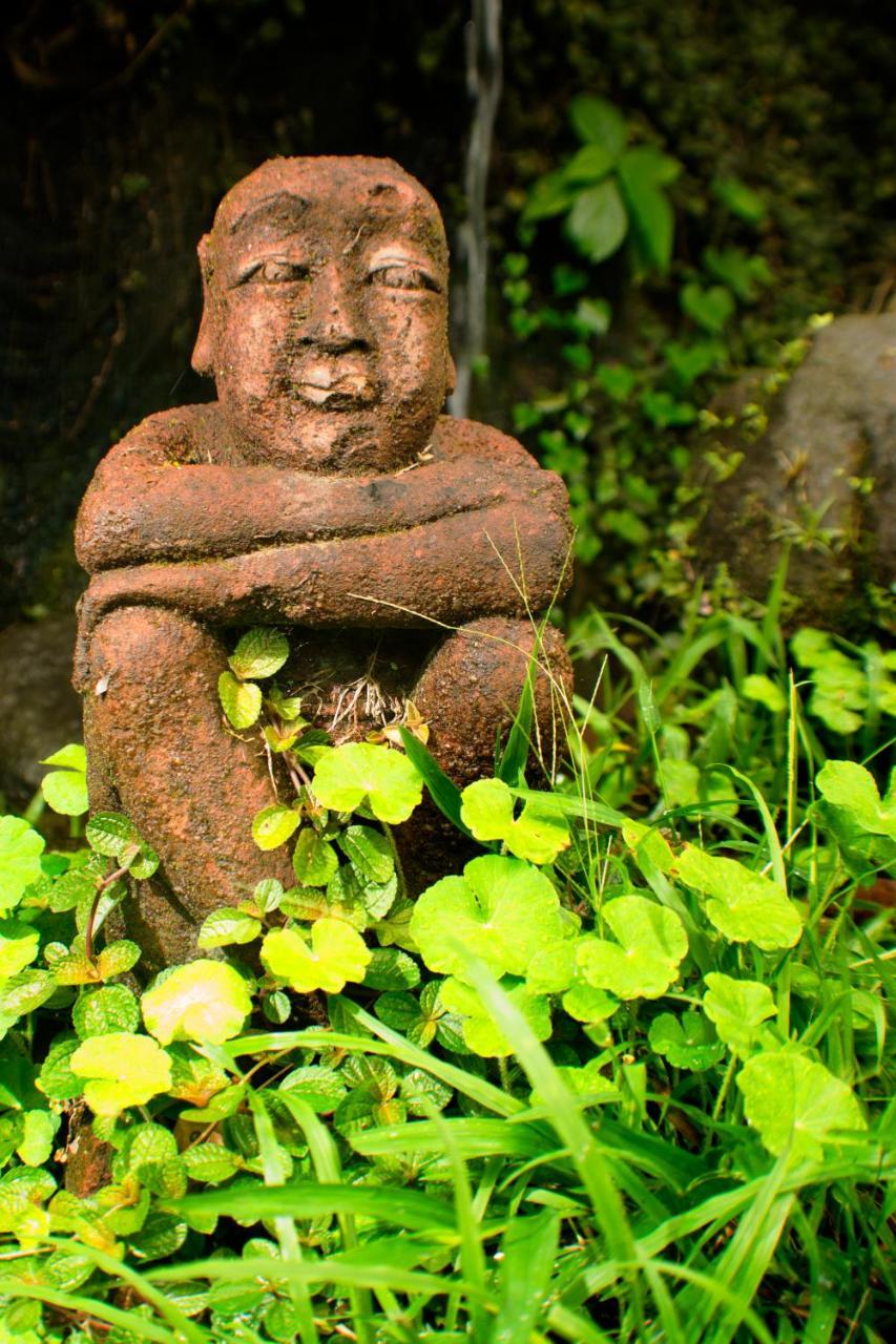 Lost Iguana Resort&spa Hotel La Fortuna